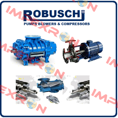 10702  Robuschi