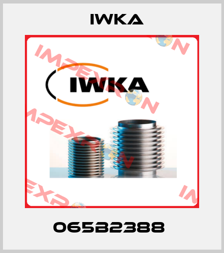 065B2388  Iwka