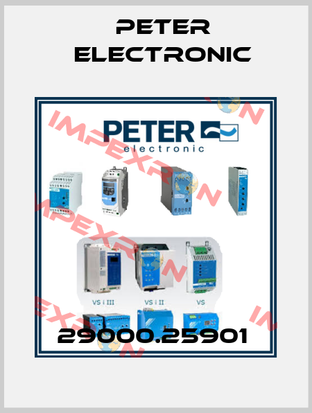 29000.25901  Peter Electronic