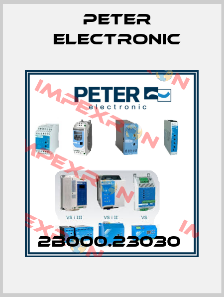 2B000.23030  Peter Electronic
