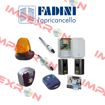 605926 FADINI