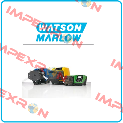 621FX/RE 275RPM Watson Marlow