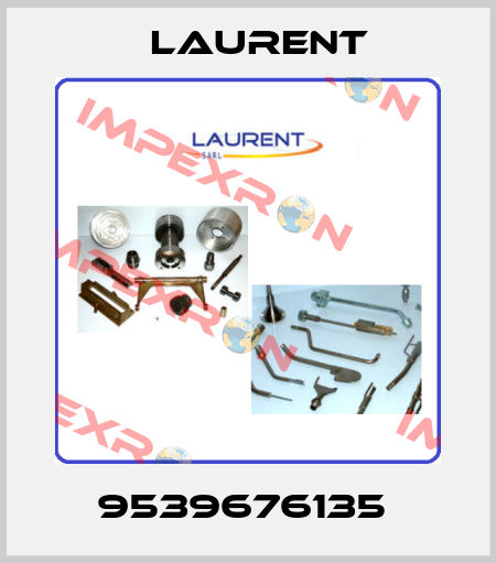 9539676135  Laurent