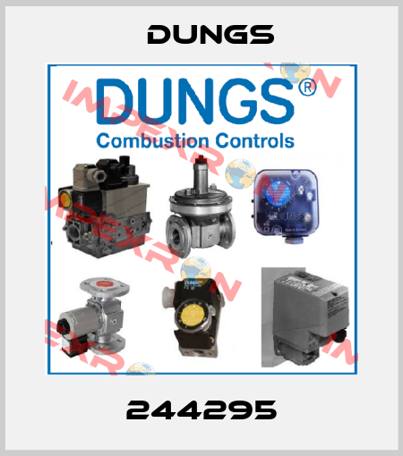244295 Dungs