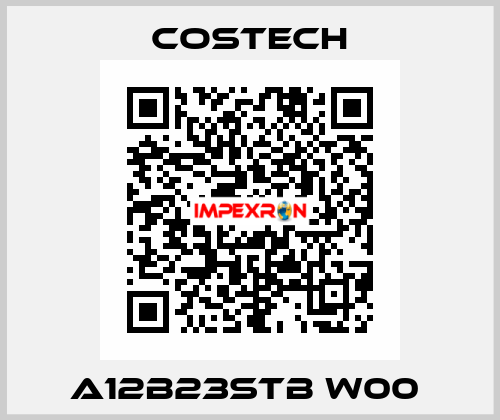 A12B23STB W00  Costech