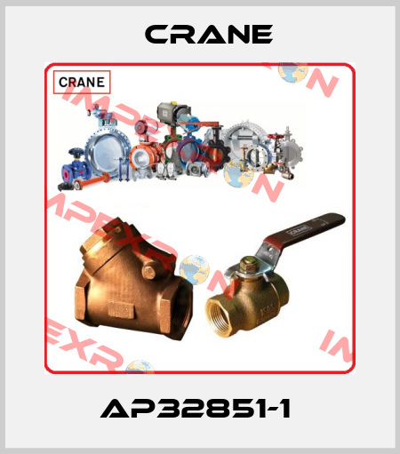AP32851-1  Crane