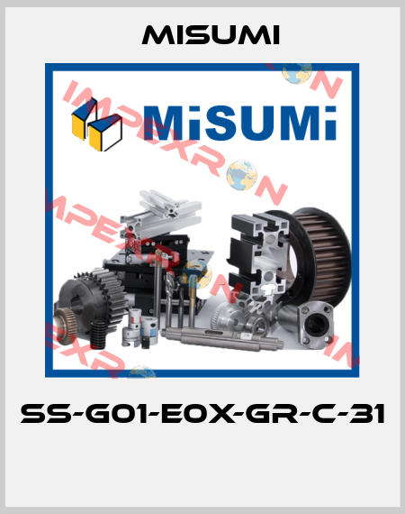 SS-G01-E0X-GR-C-31  Misumi