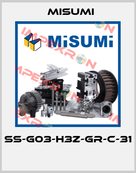 SS-G03-H3Z-GR-C-31  Misumi