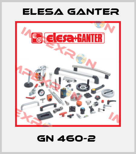 GN 460-2  Elesa Ganter