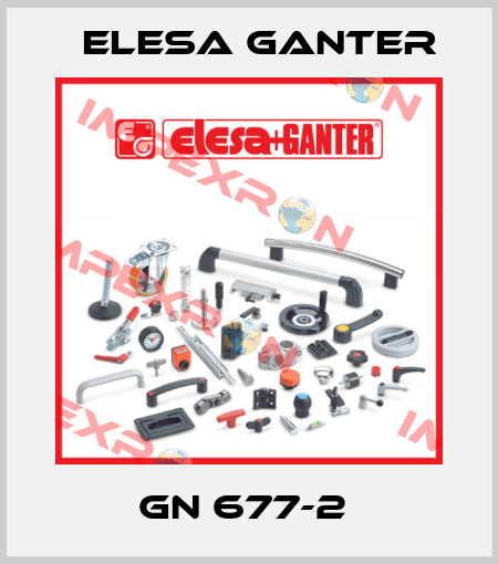 GN 677-2  Elesa Ganter