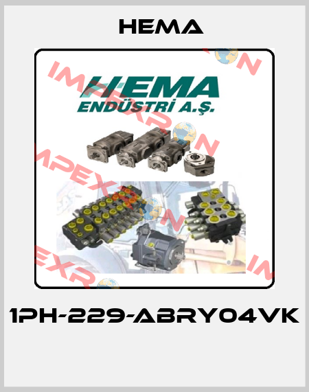 1PH-229-ABRY04VK  Hema