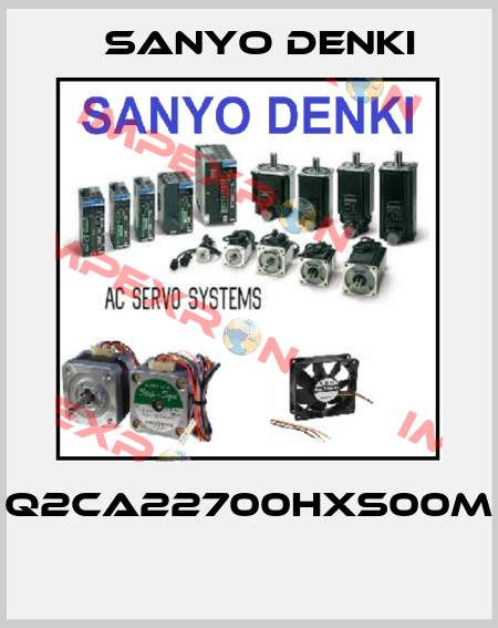 Q2CA22700HXS00M  Sanyo Denki