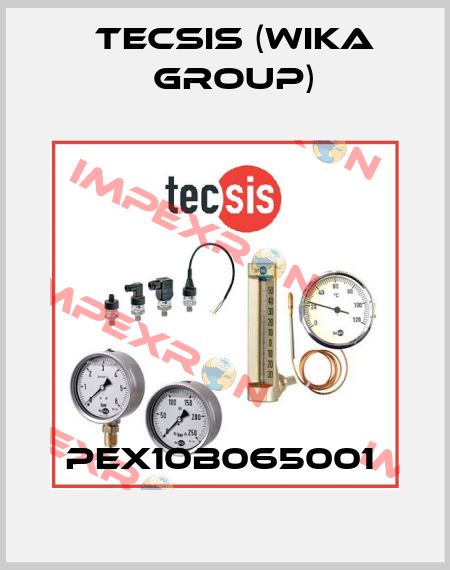 PEX10B065001  Tecsis (WIKA Group)