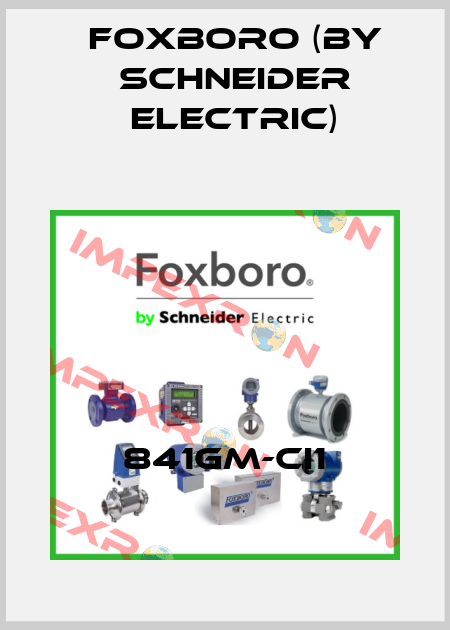 841GM-CI1 Foxboro (by Schneider Electric)
