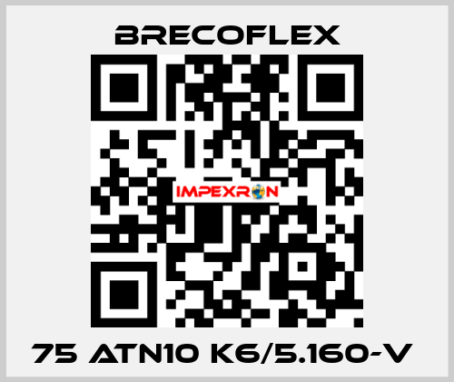 75 ATN10 K6/5.160-V  Brecoflex