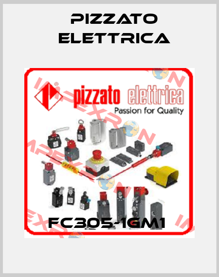 FC305-1GM1  Pizzato Elettrica
