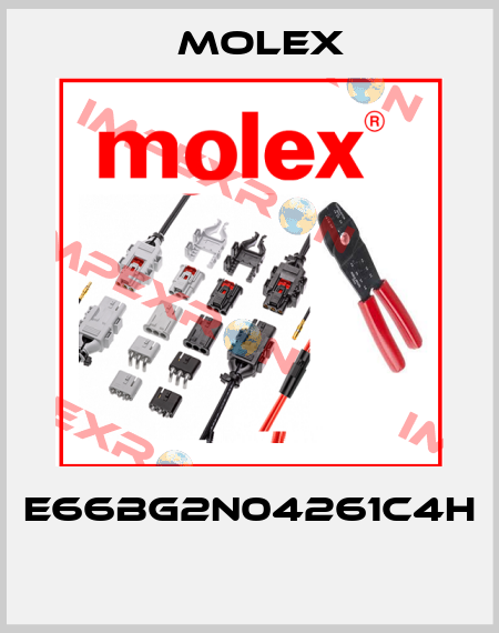 E66BG2N04261C4H  Molex
