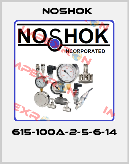 615-100A-2-5-6-14  Noshok
