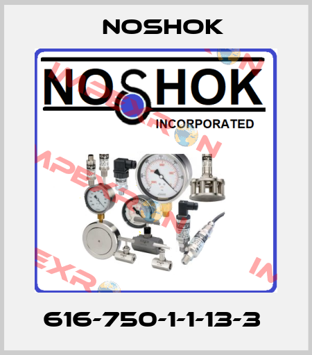616-750-1-1-13-3  Noshok
