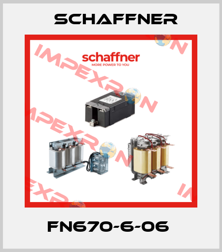 FN670-6-06  Schaffner