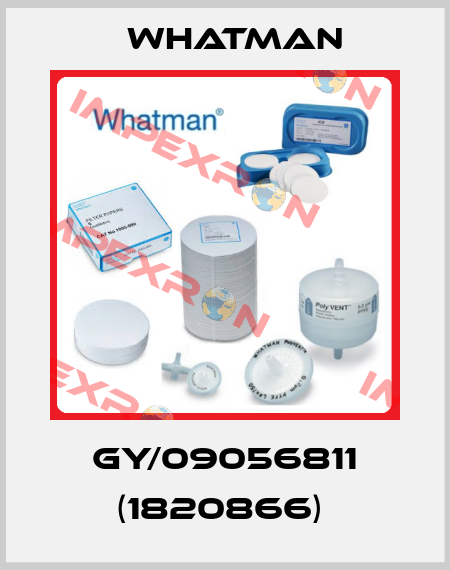 GY/09056811 (1820866)  Whatman