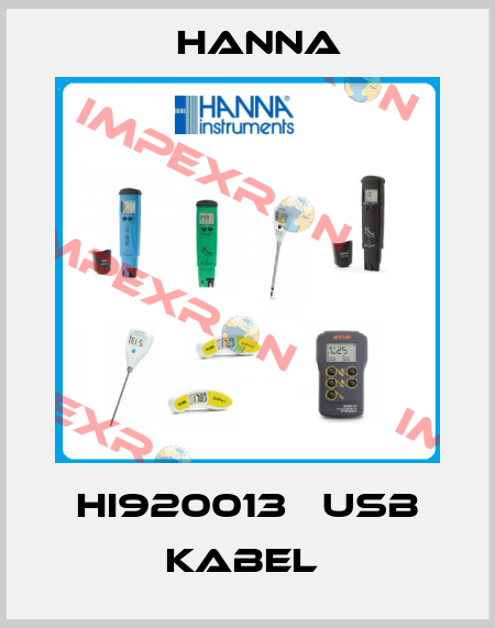 HI920013   USB KABEL  Hanna
