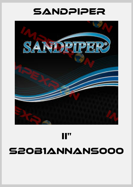 II" S20B1ANNANS000  Sandpiper