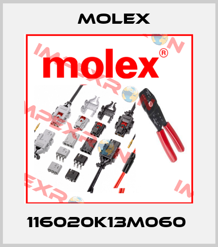 116020K13M060  Molex