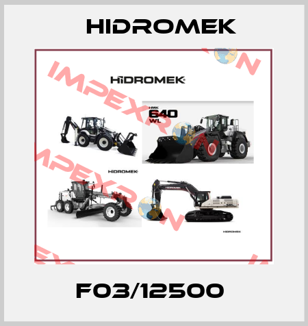F03/12500  Hidromek