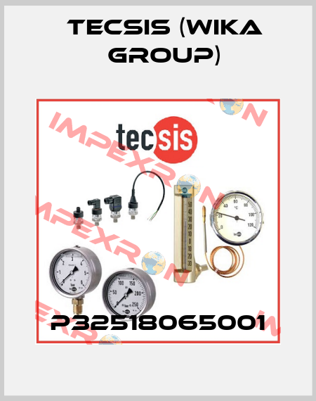 P32518065001 Tecsis (WIKA Group)