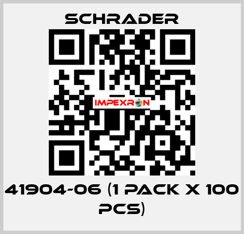 41904-06 (1 pack x 100 pcs) Schrader