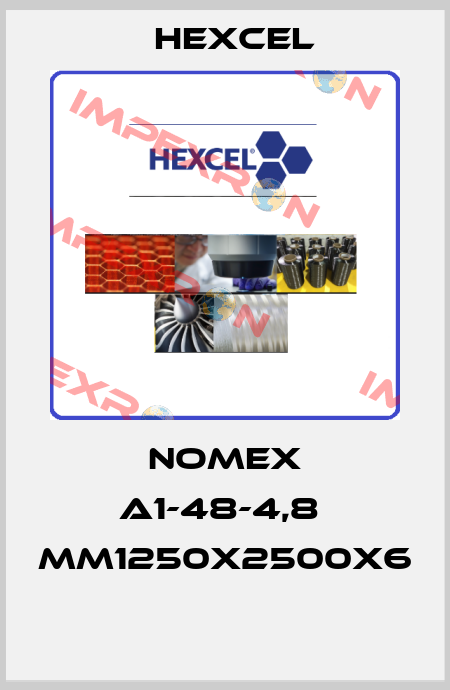 NOMEX A1-48-4,8  MM1250X2500X6  Hexcel