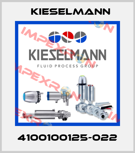 4100100125-022 Kieselmann
