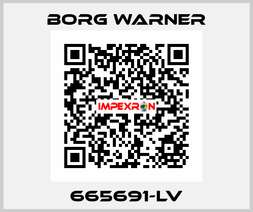 665691-LV Borg Warner