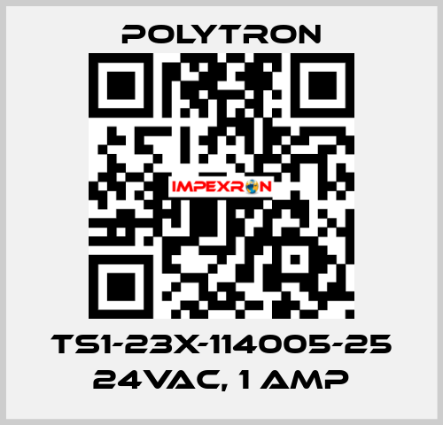 TS1-23X-114005-25 24VAC, 1 Amp Polytron