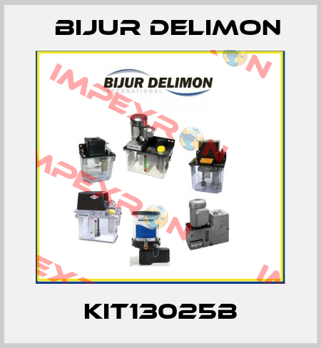 KIT13025B Bijur Delimon