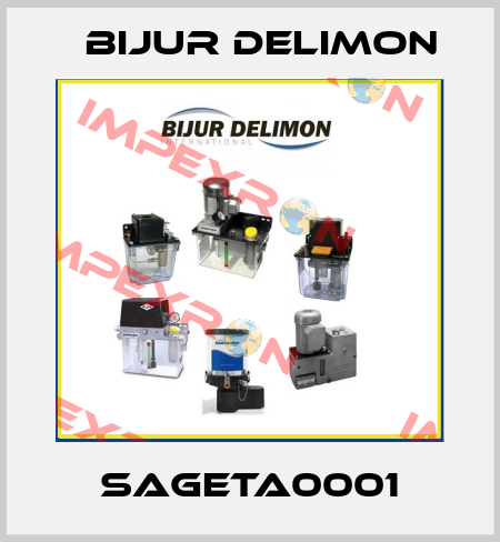 SAGETA0001 Bijur Delimon