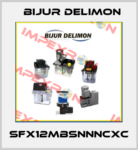 SFX12MBSNNNCXC Bijur Delimon