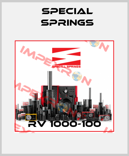 RV 1000-100 Special Springs