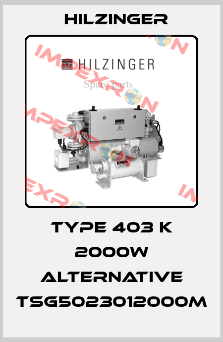 Type 403 K 2000W alternative TSG5023012000M Hilzinger