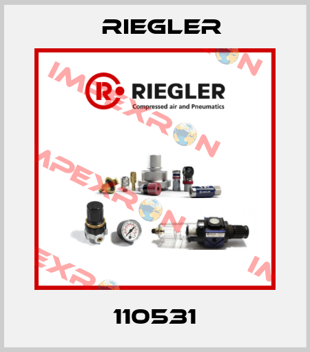 110531 Riegler