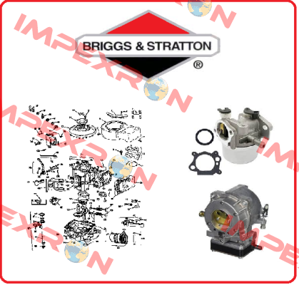 797011-BRI Briggs-Stratton