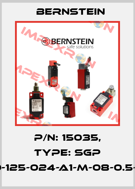 P/N: 15035, Type: SGP 30-125-024-A1-M-08-0.5-J5 Bernstein