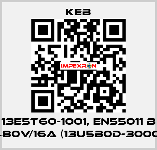 13E5T60-1001, EN55011 B 480V/16A (13U5B0D-3000) KEB