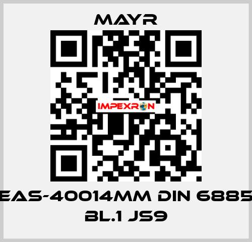 EAS-40014MM DIN 6885 BL.1 JS9 Mayr