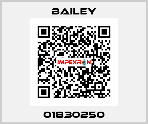 01830250 Bailey