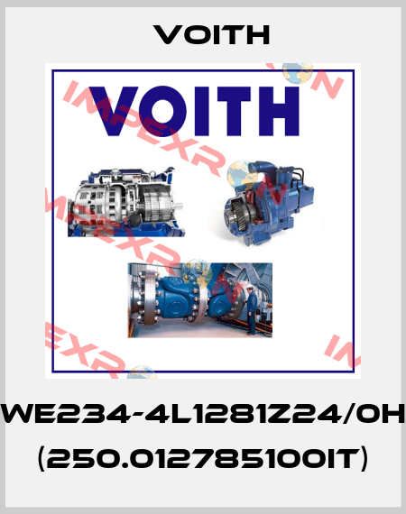 WE234-4L1281Z24/0H (250.012785100IT) Voith