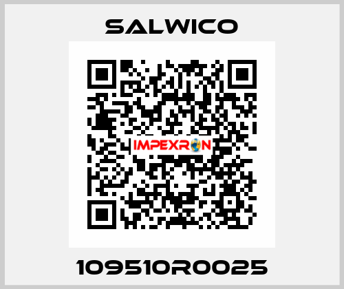 109510R0025 Salwico