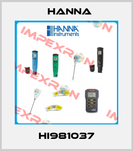 HI981037 Hanna