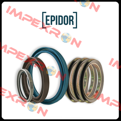 RING 20X2.4  Epidor